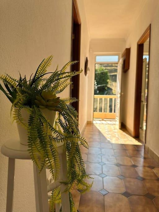 Casa De Sergude ペーゾ・ダ・レーグア エクステリア 写真